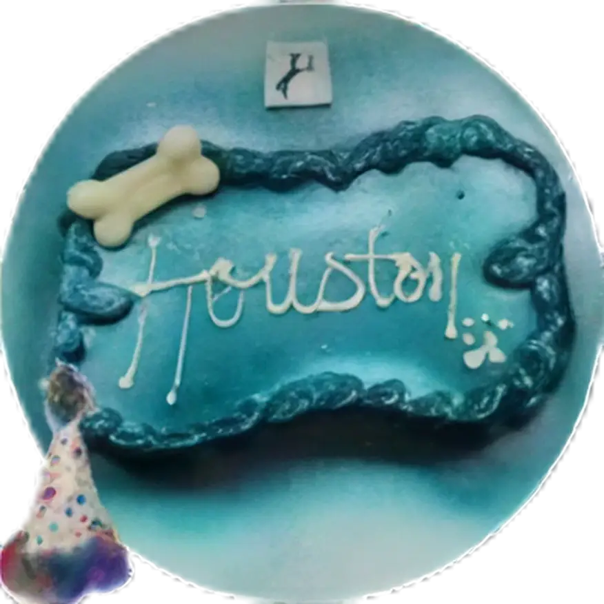 Pet-themed Houston cake with bone